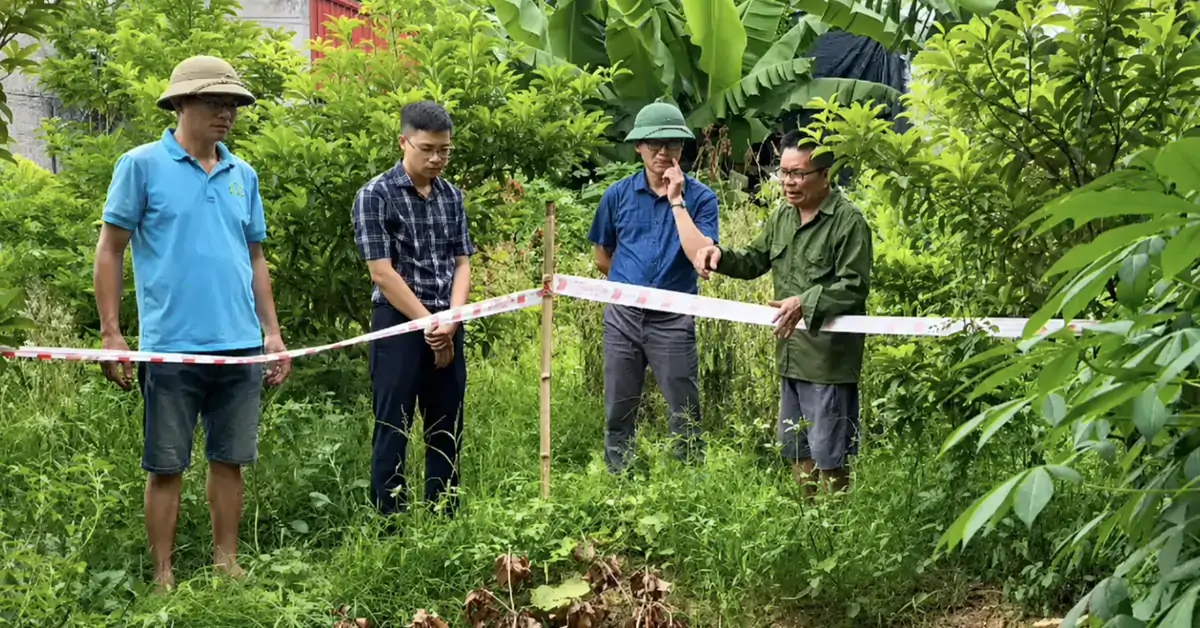 Xuất hiện hố ‘tử thần’ ở Ninh Bình, khuyến cáo người dân sơ tán