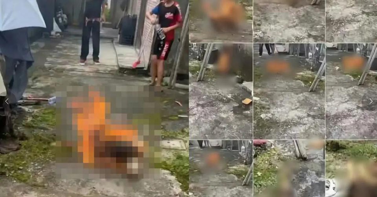 4 đứa trẻ dưới 14 tuổi gây phẫn nộ vì hành vi ngược đãi động vật, chuyên gia lên tiếng cảnh báo