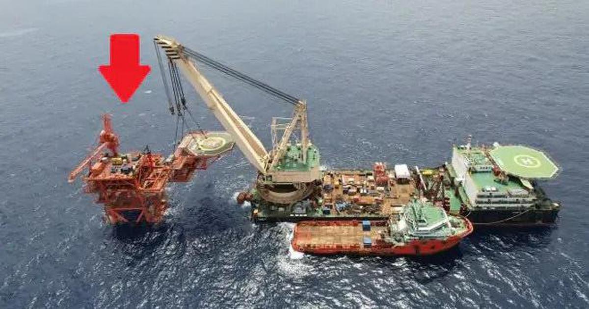 Việt Nam có "kho báu" từng được Úc, Malaysia định giá chỉ 1 USD, sau hơn 30 năm mang về trên 4,5 tỷ USD