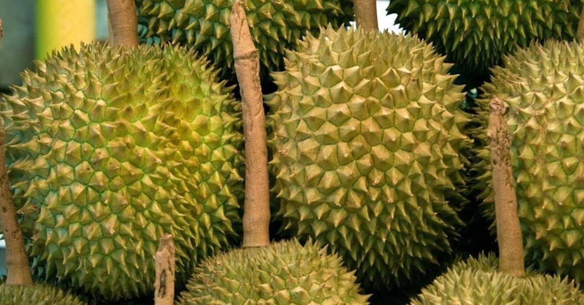 Hai quốc gia tỷ dân báo tin vui hiếm có đến sầu riêng Việt Nam