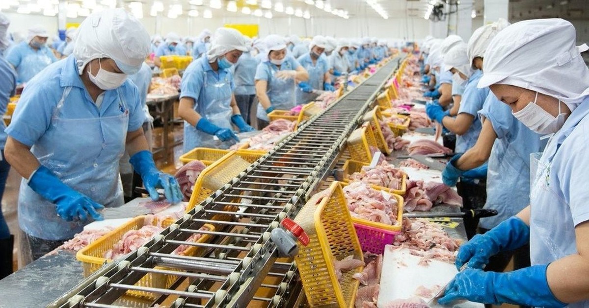 Con trai "vua cá rô phi" lần thứ 3 mua thêm 1 triệu cổ phiếu ANV khi thị giá giảm gần 40% từ đầu năm