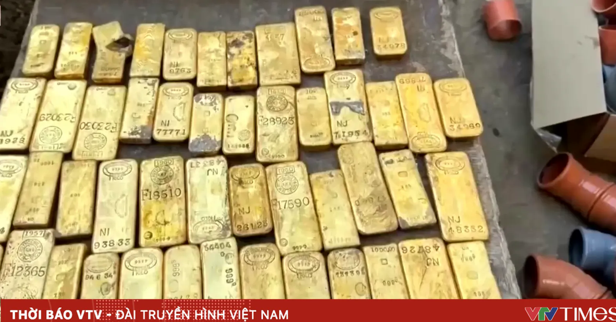 Tình cờ phát hiện kho vàng trị giá 9 triệu Euro tại Bỉ