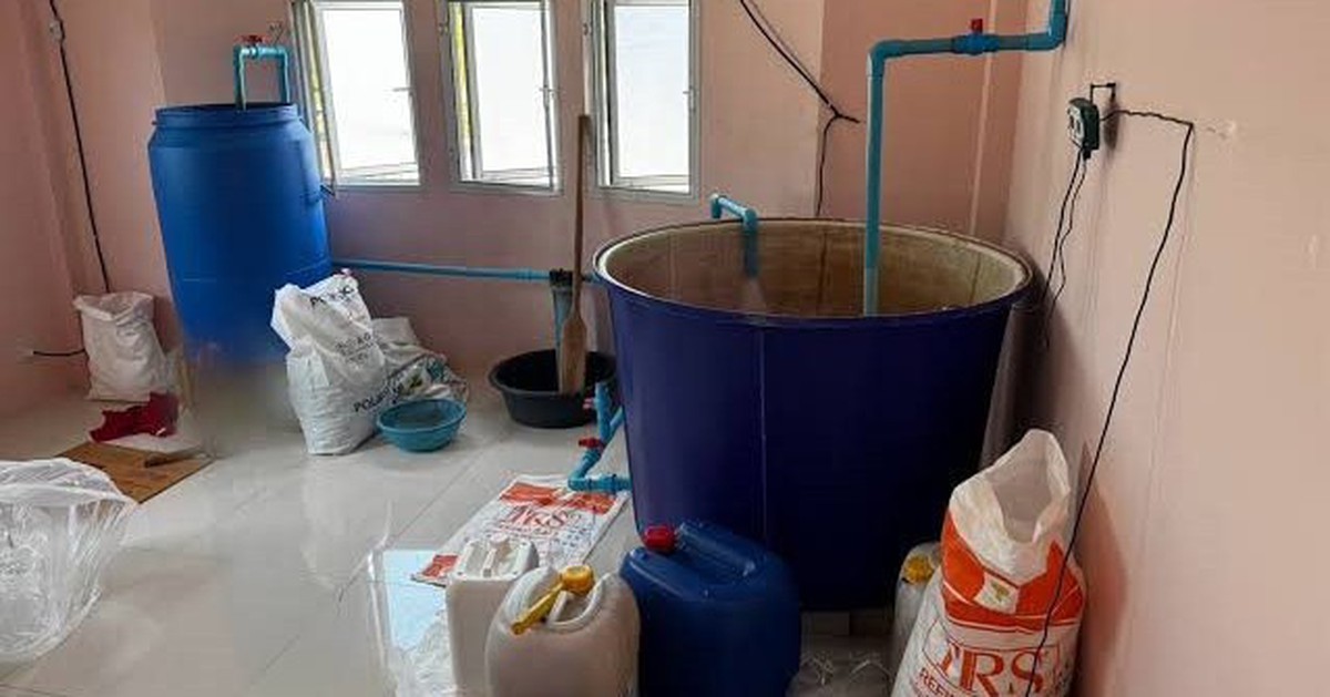 Đột kích 7 căn nhà, công an phát hiện đường dây sản xuất bột ngọt và cà phê giả, tịch thu hơn 120.000 sản phẩm tại Thái Lan