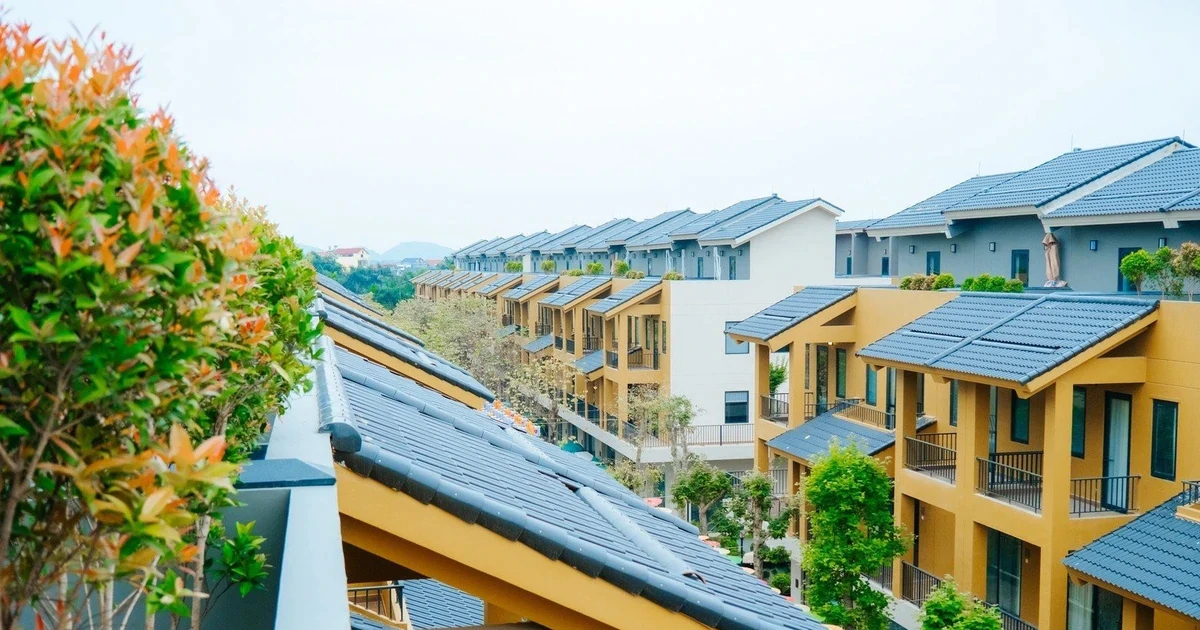 Vụ nữ Việt kiều Mỹ bị xâm hại ở Phú Thọ: Nạn nhân bị 'chuốc' rượu, khống chế bằng sức mạnh