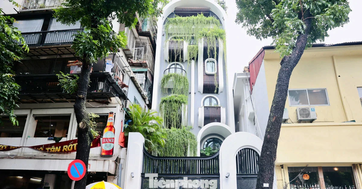 Biệt thự có 80m2 lấn chiếm đất Bảo tàng Lịch sử quốc gia được bán theo Nghị định 61?