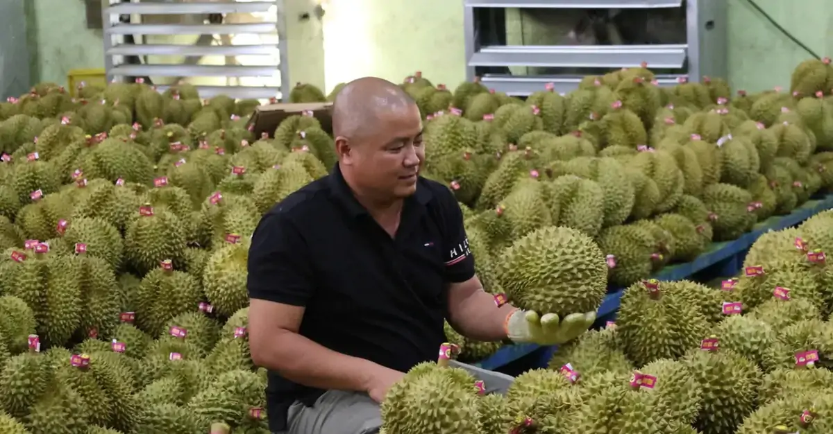 Để nông sản tỷ đô không vỡ trận xuất khẩu: Gian nan tìm "hộ chiếu"