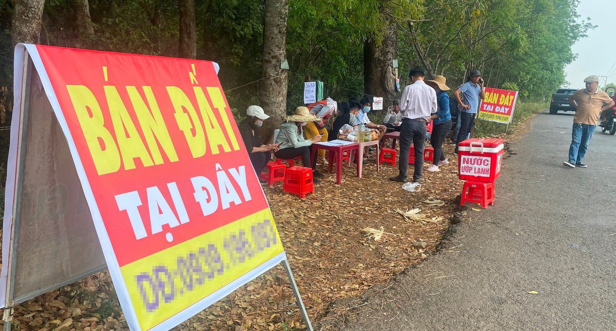 260.000 ‘cò đất’, môi giới tự do đang hành nghề...