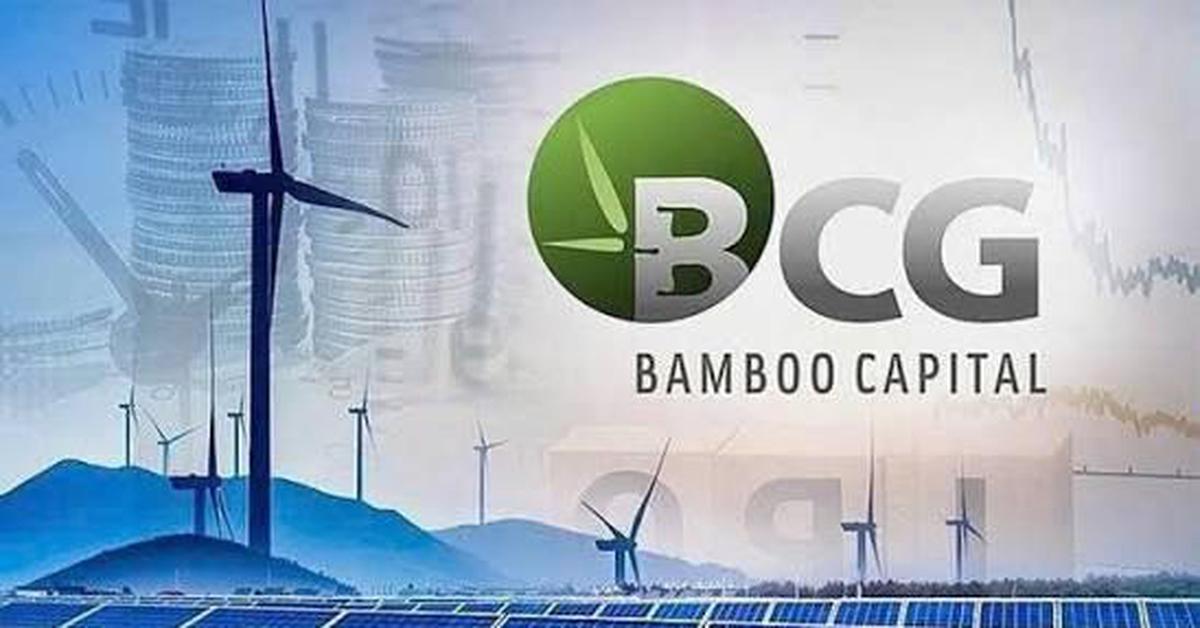 Bamboo Capital bị huỷ tư cách công ty đại chúng