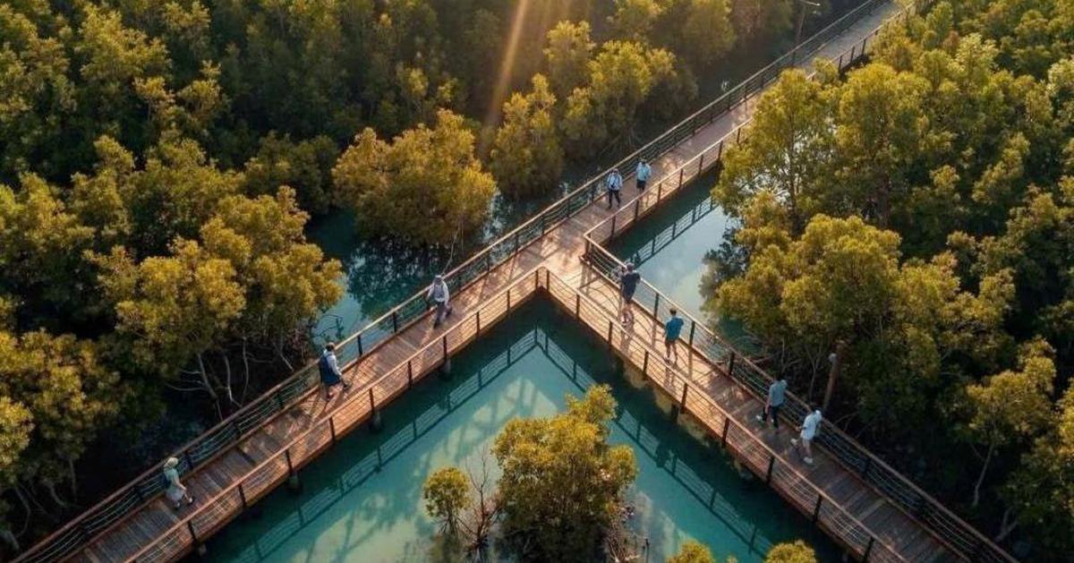 Ông Phạm Nhật Vượng xây công viên câu cá rừng ngập mặn 660 ha rộng gấp 3 lần ở Singapore