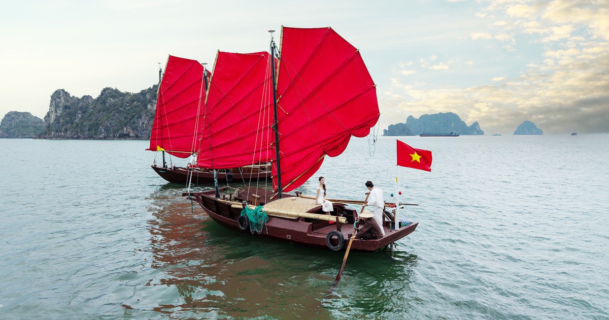 Người giữ bí mật cánh buồm có thể đi ngược gió trên Vịnh Hạ Long