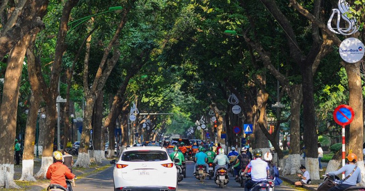 Từ ngày 23/9, toàn bộ người dân Việt Nam được miễn phí 100% dịch vụ này trong suốt 5 ngày