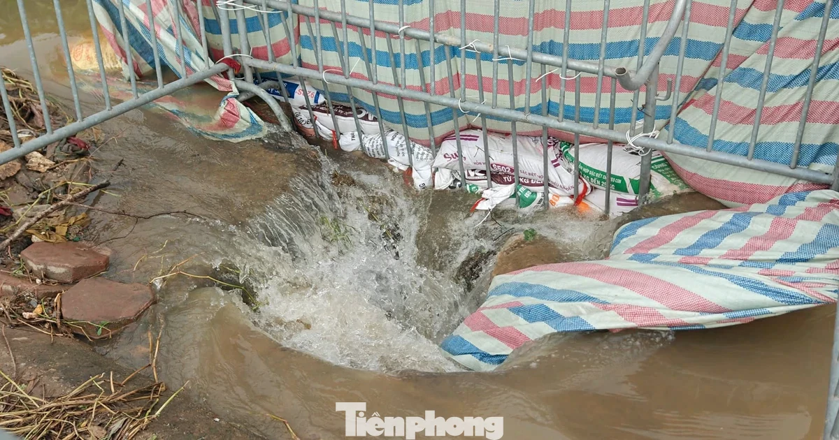 Vụ nam sinh ngã xuống cống tử vong: Tuyến đường cứ mưa là ngập, dân kiến nghị nhiều lần chưa khắc phục