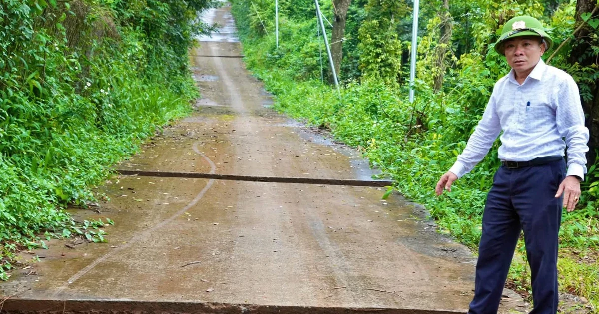 Mưa lớn, đường bê tông xuất hiện 8 vết nứt ngang, đất rẫy sụt lún ở Lâm Đồng