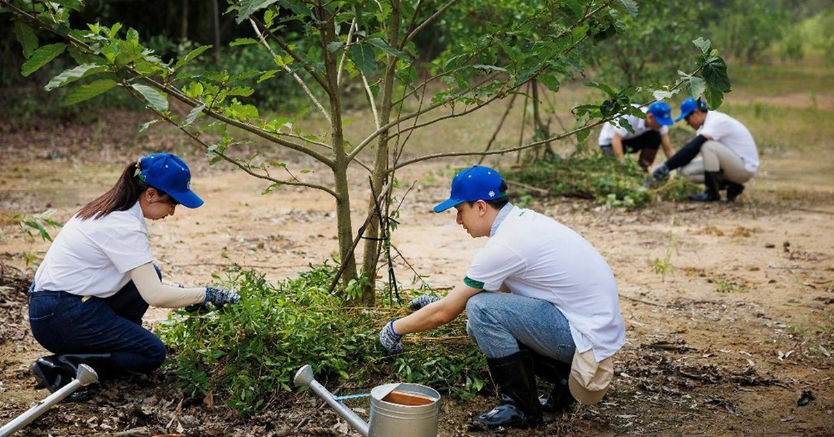 Lấy nước để sản xuất bia, doanh nghiệp này “trả” lại hàng tỷ lít mỗi năm bằng cách không ai ngờ