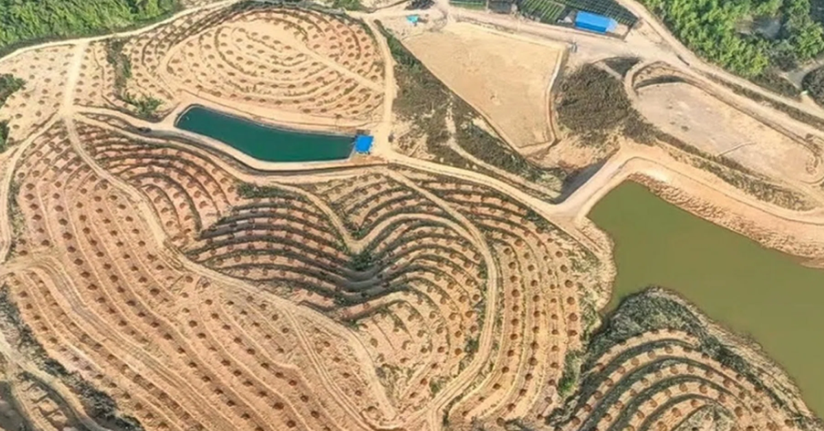 Trung Quốc thuê 500 ha đất ngay tại láng giềng Việt Nam: Rộng bằng 700 sân bóng đá, đặt cược vào một loại quả đặc biệt