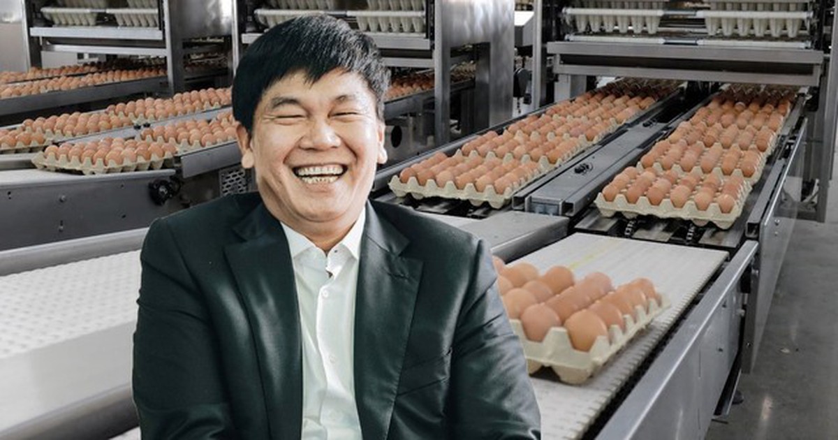 Bên trong tổ hợp sản xuất 1 triệu quả trứng/ngày của tỷ phú Trần Đình Long: 1,2 triệu con gà, thu gần 350 tỷ đồng trong 6 tháng