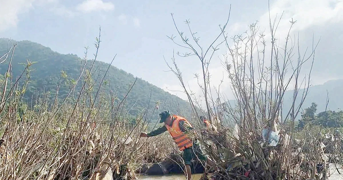 Nam thanh niên rơi xuống sông mất tích khi qua cầu phao ở Sơn La