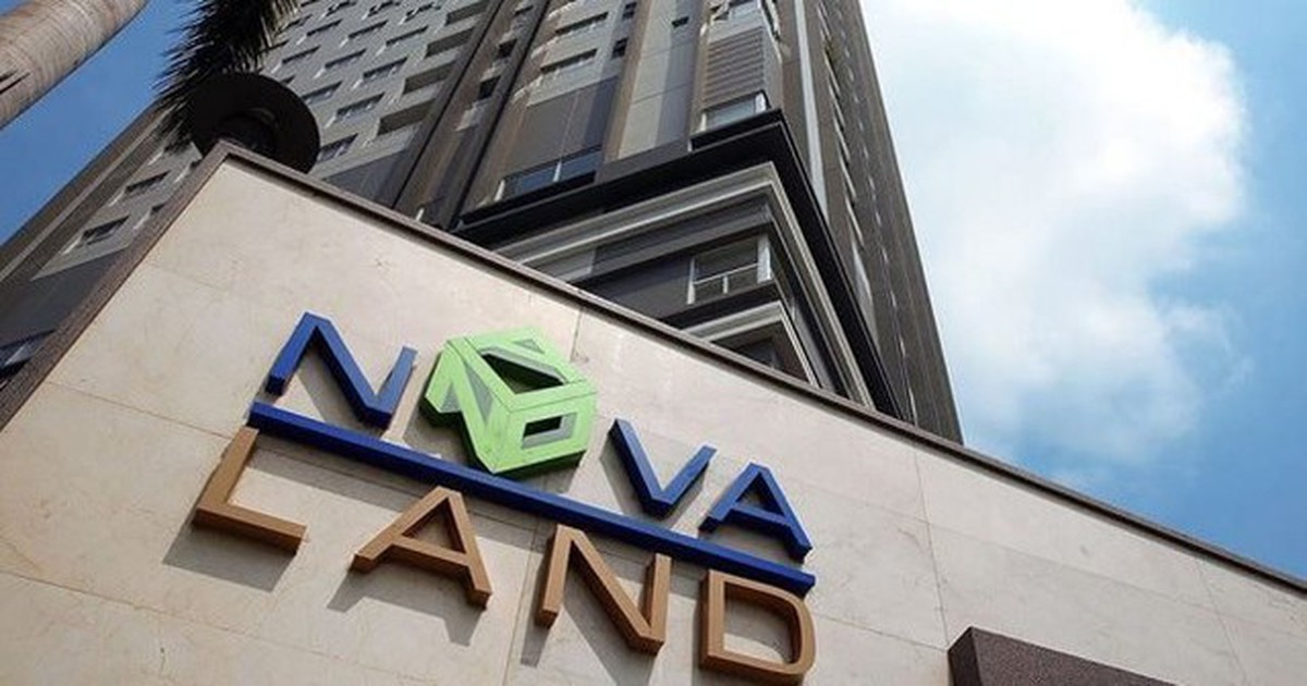Novaland làm sao thế?