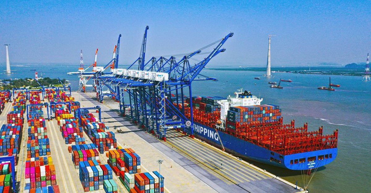 Hàng chục nghìn tấn hàng của Việt Nam được quốc gia láng giềng đổ tiền mua: 1/3 thế giới ưa chuộng, nước ta có diện tích trồng hơn 900.000ha