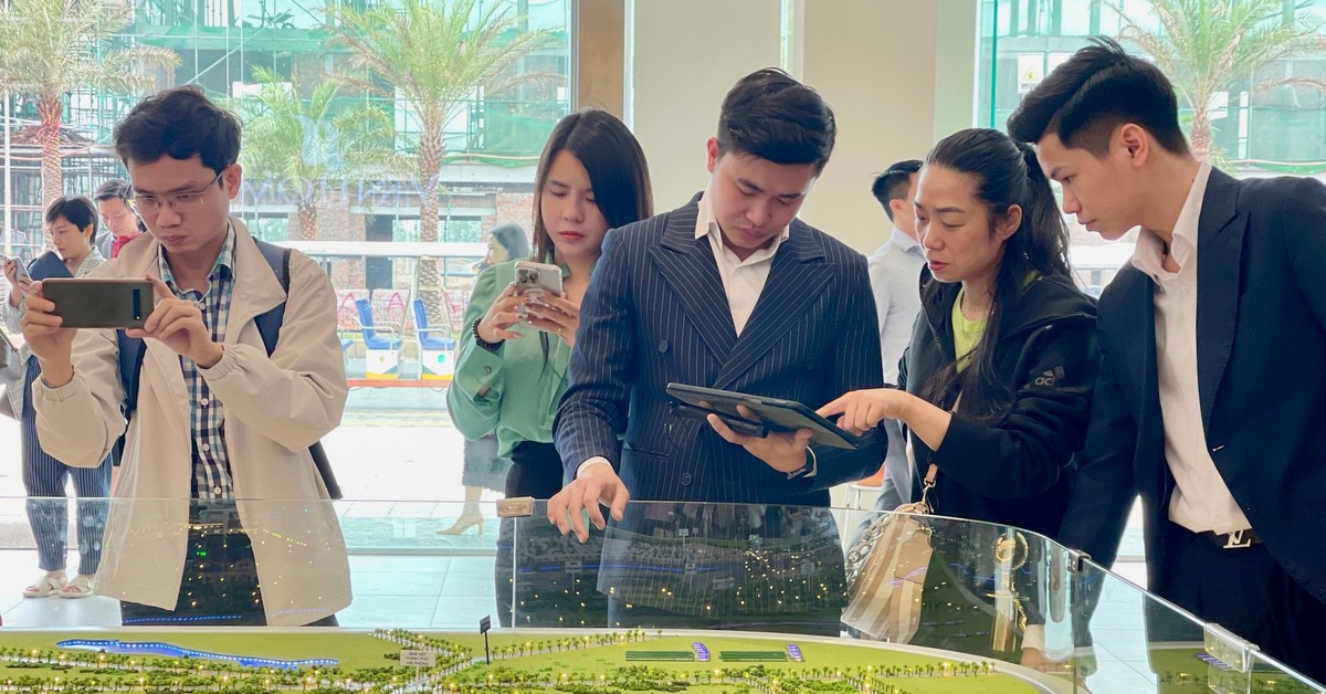Tất cả người dân sở hữu bất động sản chú ý quy định phạt đến 260 triệu đồng vừa áp dụng