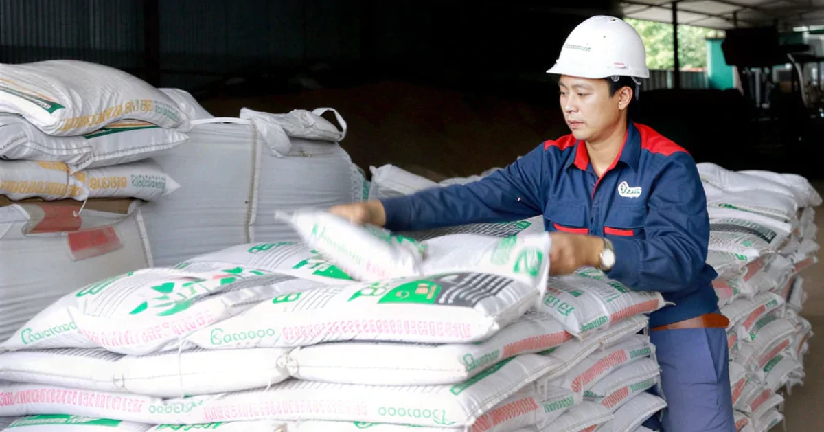 Hàn Quốc, Philippines tăng mua giá cao, xuất khẩu phân bón sắp lập kỷ lục