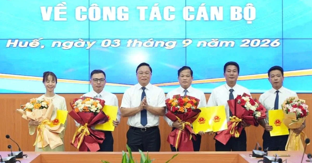 Điều động, bổ nhiệm nhân sự mới ở 4 tỉnh, thành