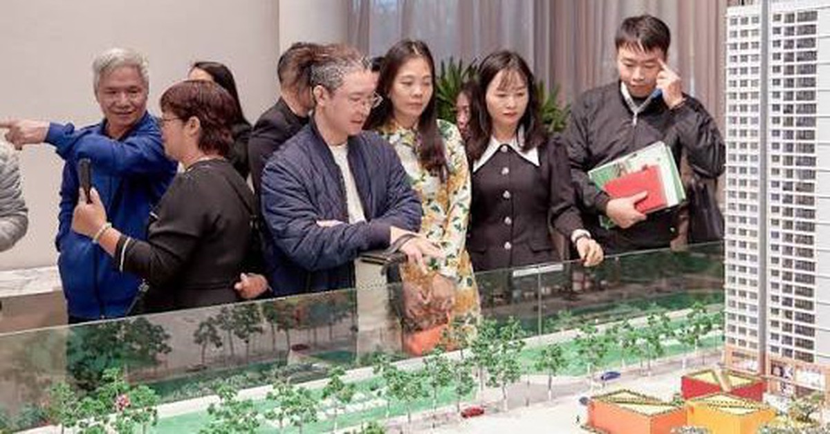 Tất cả người dân đang sở hữu chung cư chú ý quy định phạt đến 200 triệu đồng