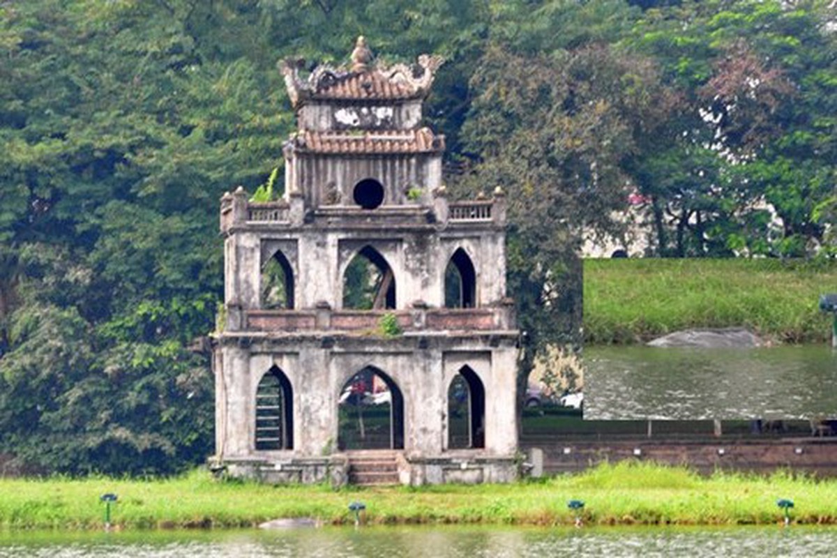 Cụ rùa Hồ Gươm liên tục nổi lên khỏi mặt nước