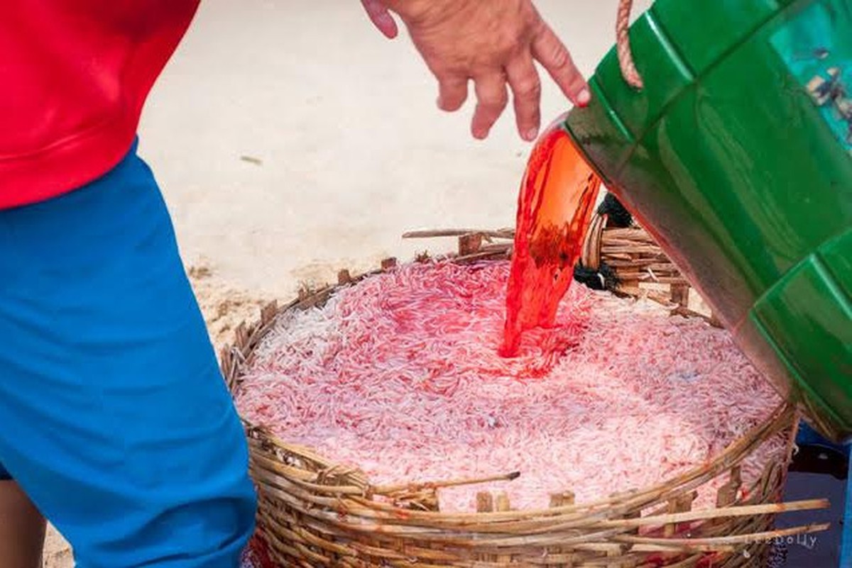 Con ruốc có tốt không mà người ta phải nhuộm màu bán kiếm lời?