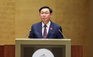 Thủ tướng kỷ luật Chủ tịch, nguyên Chủ tịch tỉnh Hải Dương