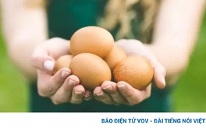 Trứng luộc và trứng rán, món nào nhiều dinh dưỡng hơn?