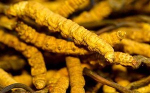 Tin vui cho toàn nhân loại: Lần thứ hai tạo ra được năng lượng ròng từ phản ứng nhiệt hạch, hiệu suất cao hơn trước