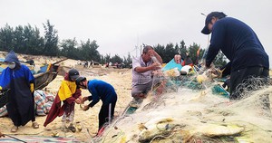 Lô đất ở xã giá khởi điểm gần 10 tỉ đồng vừa thông báo đấu giá đã tạm dừng - Ảnh 4.