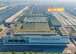 Chuẩn bị xây cây cầu gần 500 tỉ tại khu Nam Tp.HCM - Ảnh 2.