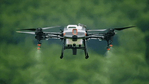 Yếu tố đặc biệt giúp FPT có lợi thế cạnh tranh với các "gã khổng lồ" Google, Microsoft trong cuộc đua AI - Ảnh 3.