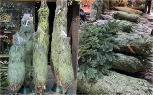 Gi&aacute; v&agrave;ng miếng SJC v&agrave; v&agrave;ng nhẫn 99,99 tiếp tục giảm s&acirc;u - Ảnh 3.