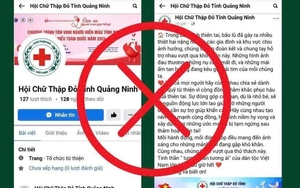 Ông nông dân nuôi con "nhiều chân", lãi 4,5 tỷ đồng/năm rất nhẹ nhàng - Ảnh 6.