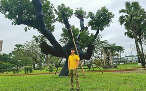 Chuỗi điện máy tại Indonesia của Thế Giới Di Động có 5 tháng liên tiếp “mang tiền về cho mẹ”, đến gần mục tiêu có lãi trước quý 4? - Ảnh 3.