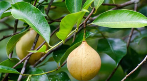 C&ocirc;ng ty th&agrave;nh vi&ecirc;n của Tập đo&agrave;n Daewoo chuyển nhượng 1,5 ha "đất v&agrave;ng" tại KĐT Starlake T&acirc;y Hồ T&acirc;y cho doanh nghiệp kh&aacute;c, H&agrave; Nội ra quyết định thu hồi đất - Ảnh 2.