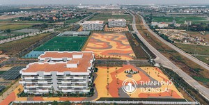 V&ugrave;ng trồng đ&agrave;o cảnh lớn nhất Hải Ph&ograve;ng đ&igrave;u hiu trước Tết - Ảnh 3.