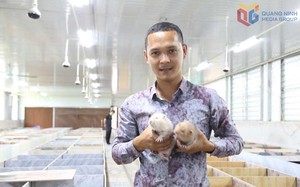 Từ hai bàn tay trắng, không bằng cấp, chàng trai 9X Quảng Ninh gây dựng cơ đồ bạc tỷ, nổi danh khắp vùng