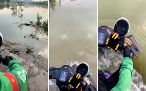 Tứ bề là nước, tài xế vẫn vô tư chở khách 