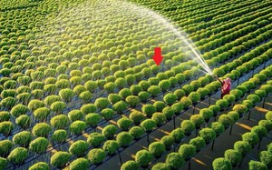 Việt Nam sắp có mô hình đô thị hưu trí đầu tiên tại siêu dự án 10 tỷ USD- Ảnh 1.