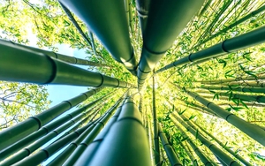 Hà Nội sở hữu công trình hơn 7.500 tỷ, lớn nhất ĐNÁ, lớn thứ 2 thế giới: Người dân hưởng lợi lớn!- Ảnh 4.