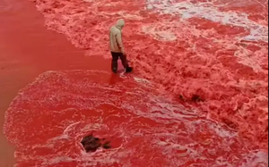 Sau trận mưa kỳ lạ, bãi biển bất ngờ nhuộm đỏ như máu, cơ quan lữ hành nói: Liên quan tới tên gọi nơi này