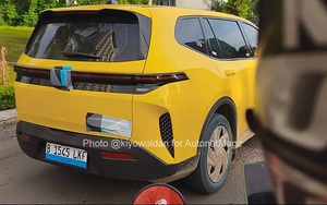 Lộ diện "ông vua" xe dịch vụ, xe điện "dẫn dắt thị trường"- Ảnh 3.