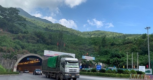 Công trình Việt Nam được đánh giá là độc bản, mang trong mình "ADN nước Ý": Riêng thép cần hơn 5.000 tấn- Ảnh 1.