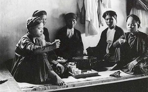 Đặc sản đắt nhất thế giới 30 tỷ/kg, Việt Nam có loại tương tự, ngon không kém và cực kỳ phải chăng