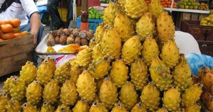 Trung Quốc tuyên bố vừa thử nghiệm thành công sầu riêng tại Vân Nam: Hướng tới giấc mơ “tự do sầu riêng”, diện tích trồng ra sao?- Ảnh 3.