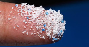 5 nguồn vi nhựa nguy hiểm nhất trong nh&agrave; m&agrave; nhiều người kh&ocirc;ng ngờ tới - Ảnh 2.